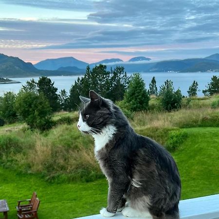 Appartamento Wake Up To A Beautiful View And Smell Of The Sea Kristiansund Esterno foto