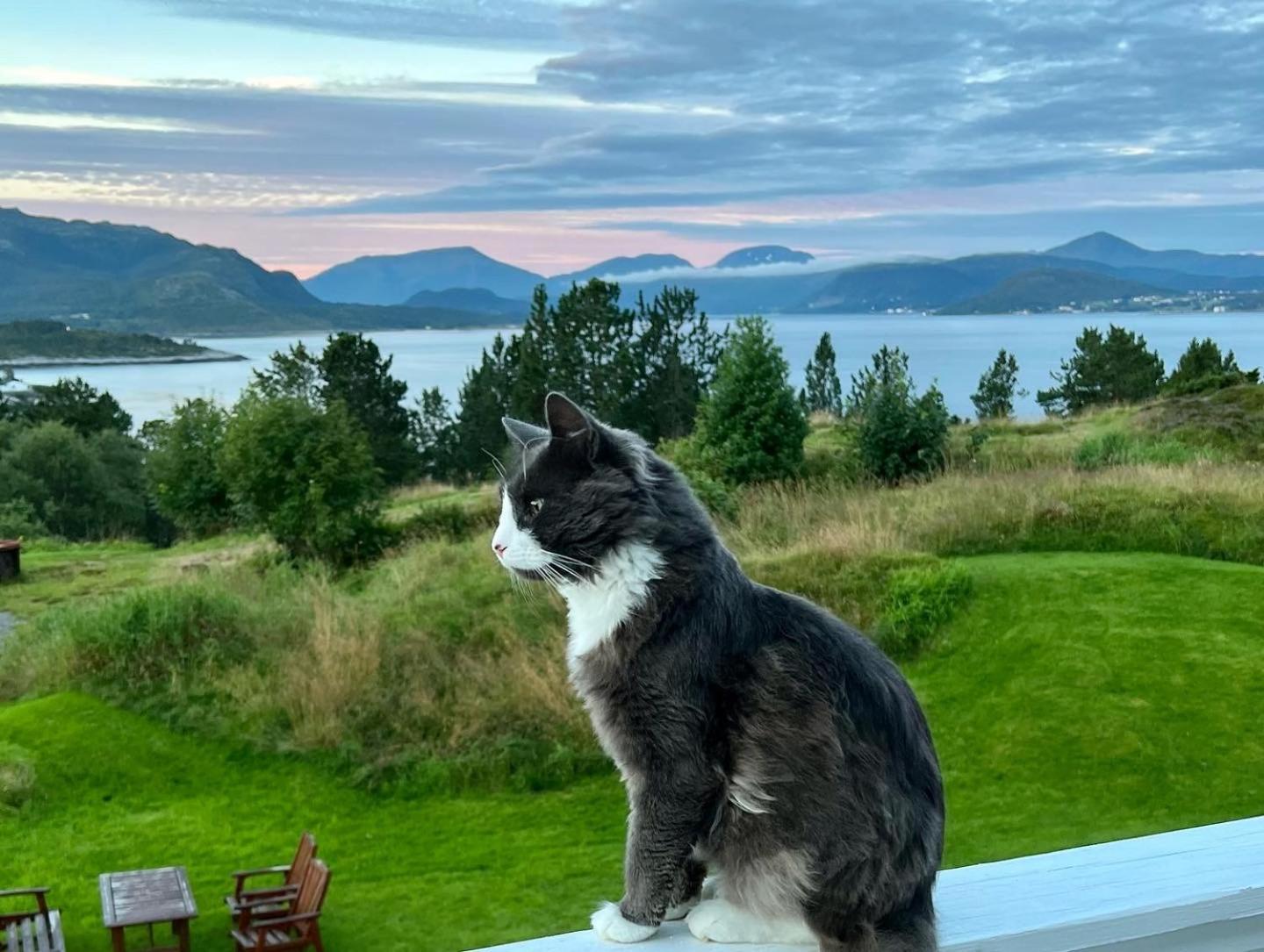Appartamento Wake Up To A Beautiful View And Smell Of The Sea Kristiansund Esterno foto