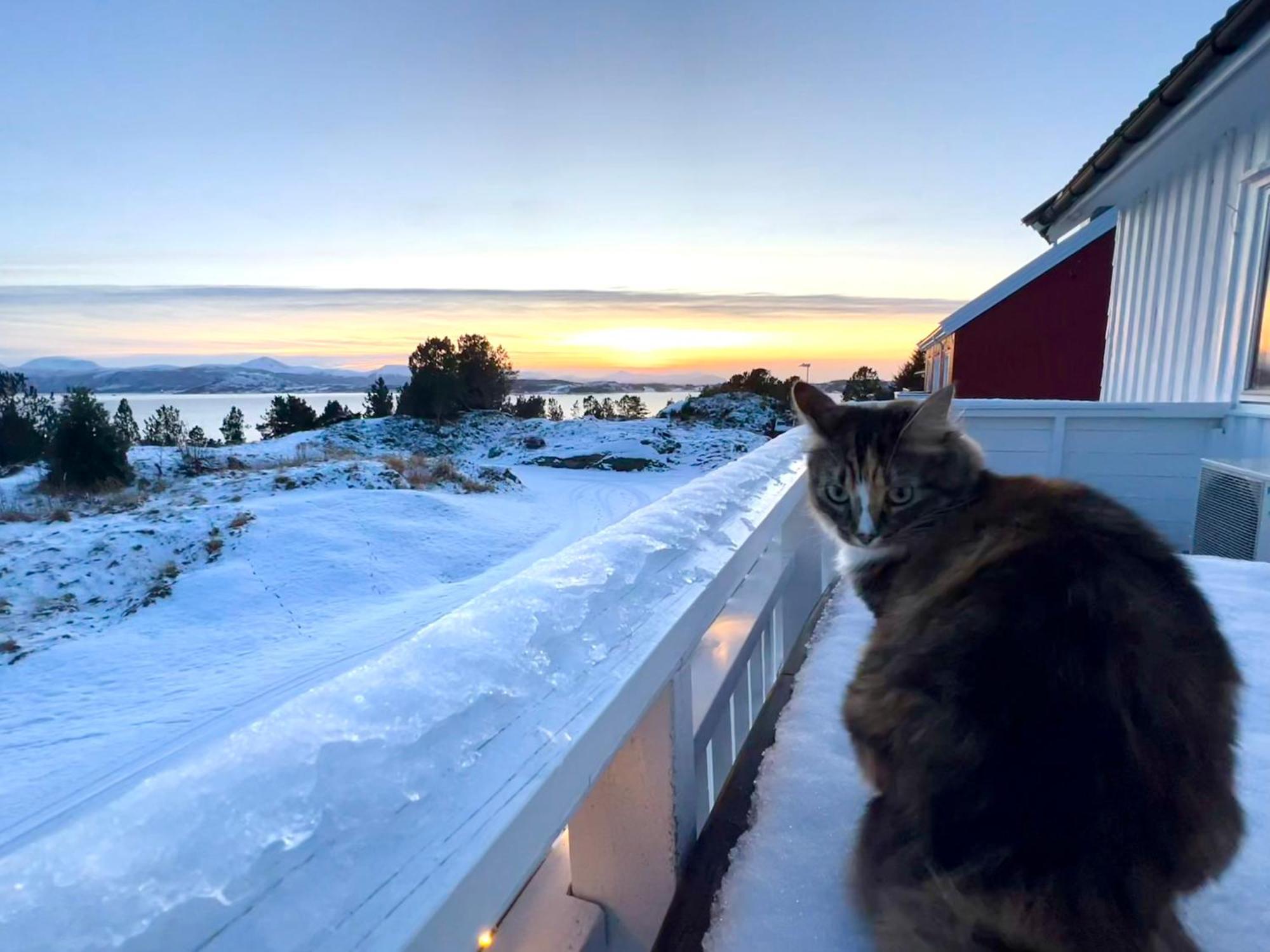 Appartamento Wake Up To A Beautiful View And Smell Of The Sea Kristiansund Esterno foto