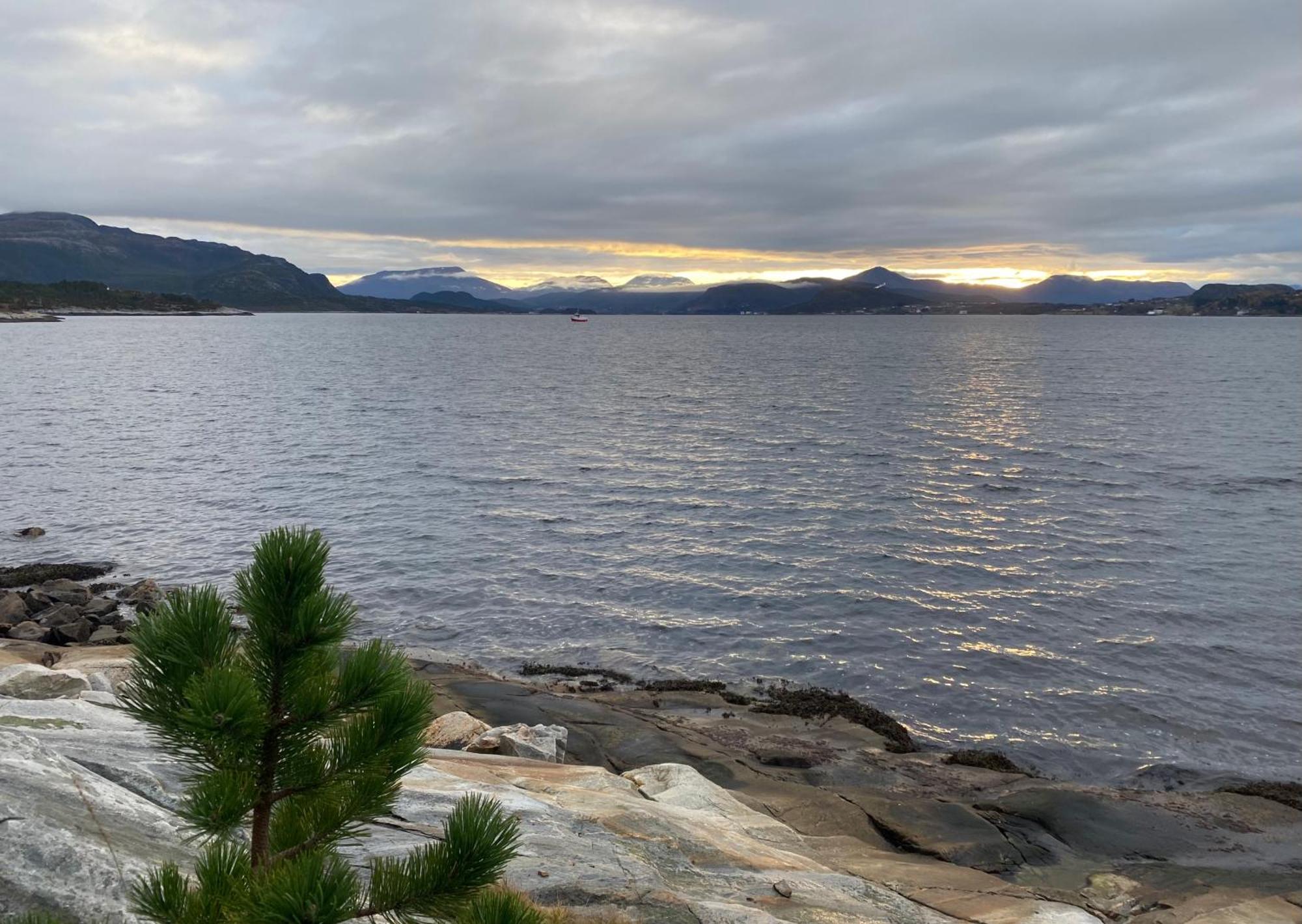 Appartamento Wake Up To A Beautiful View And Smell Of The Sea Kristiansund Esterno foto